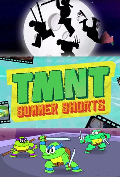 TMNT Summer Shorts