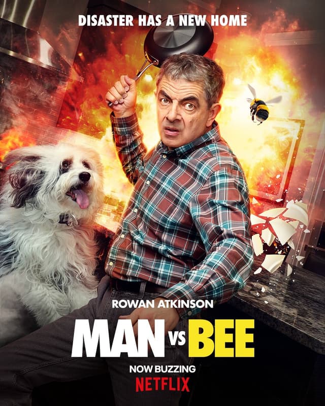Man vs Bee
